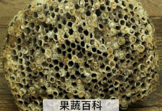 露蜂房与蜂巢的区别 露蜂房的功效