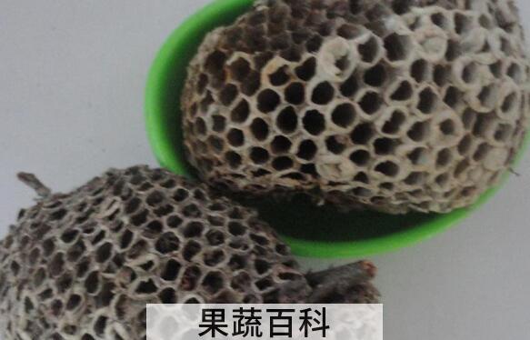 露蜂房与蜂巢的区别 露蜂房的功效