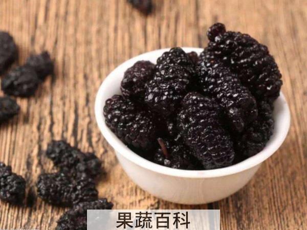 汁酒膏你钟爱哪种 桑葚的吃法推荐