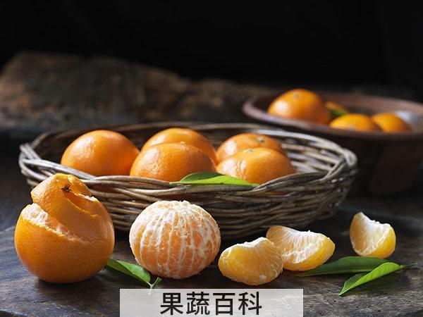 柑子和橘子的区别 剥皮就能判断