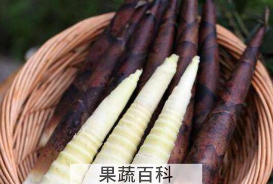 雷笋和春笋的区别