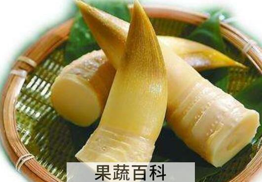 春笋和冬笋的区别