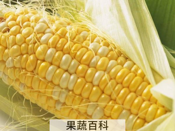 口感一级棒的步骤诀窍 玉米要煮多久