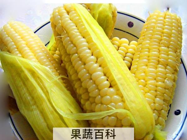 口感一级棒的步骤诀窍 玉米要煮多久