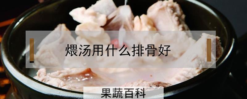 煨汤用什么排骨好