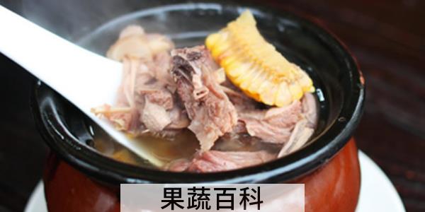 煨汤用什么排骨好