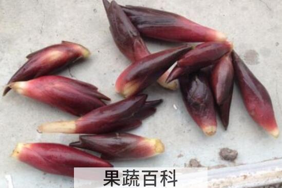 莲花姜的功效与作用 莲花姜怎么种植方法