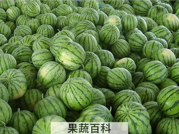 拇指西瓜怎么吃 连籽带皮咬爆炸
