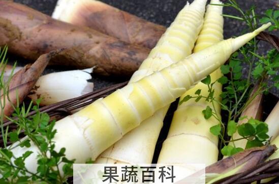 春笋怎么挑 挑选春笋的方法技巧