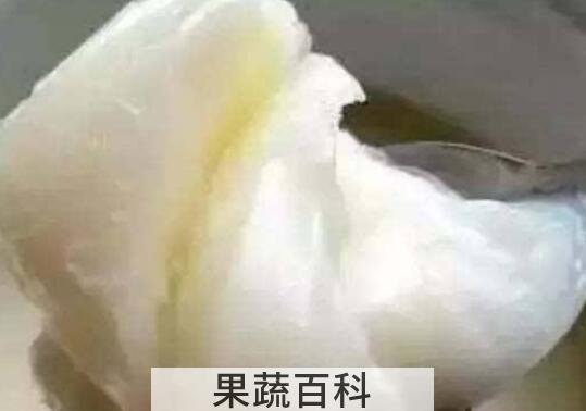 动物油和植物油的区别