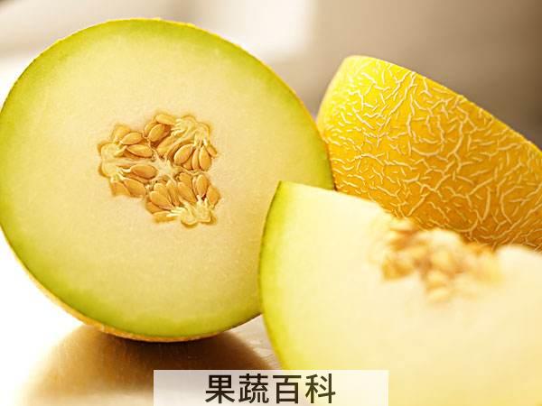 夏天哈密瓜选购注意事项 颜色味道软硬皆需了解