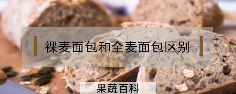 裸麦面包和全麦面包区别