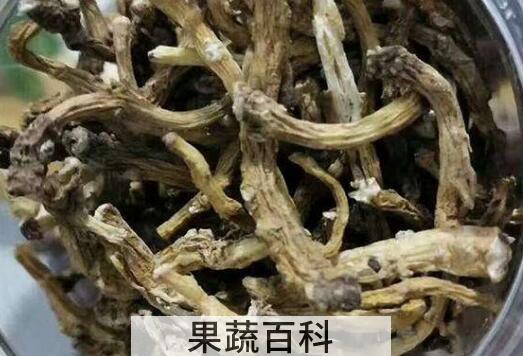 苦菜根茶怎么做 苦菜根茶的制作方法