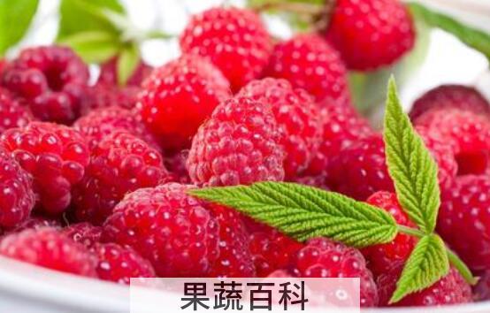 红树莓对女人的好处