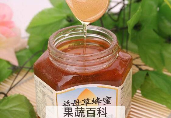 益母草蜜怎么食用 益母草蜜的食有方法教程