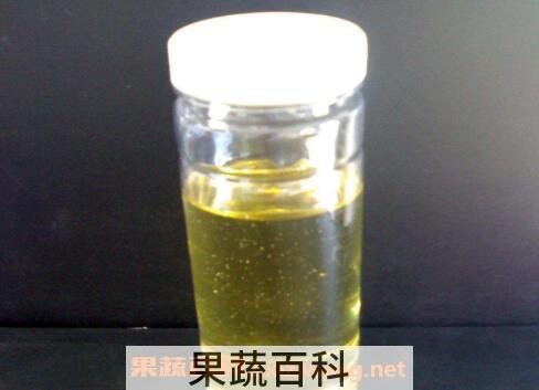 蓖麻油的功效与作用