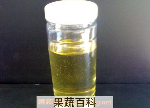 蓖麻油的功效与作用及禁忌
