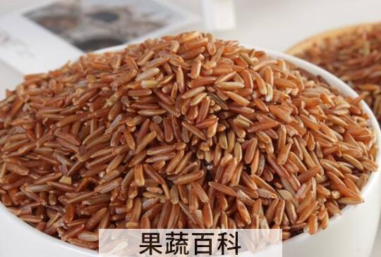 红糙米的功效与作用 红糙米的食用方法