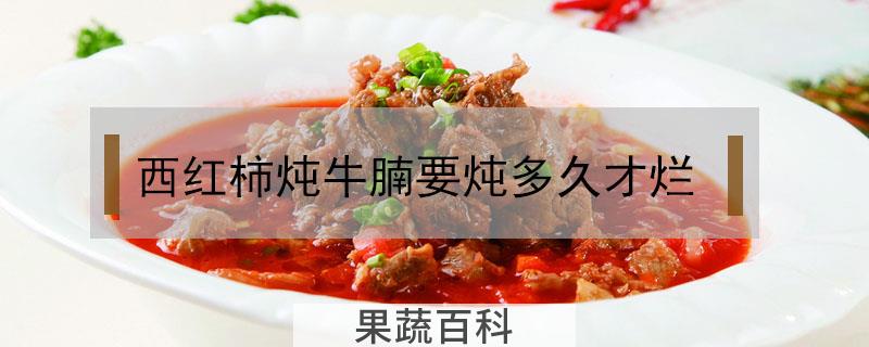 西红柿炖牛腩要炖多久才烂