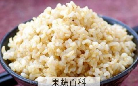 糙米怎么吃最好 糙米的食用方法大全