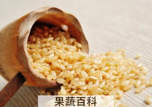 糙米怎么吃最好 糙米的食用方法大全