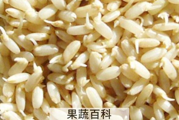 发芽糙米的功效与作用
