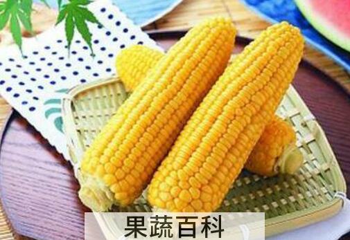 吃玉米的好处和坏处 玉米的功效和作用