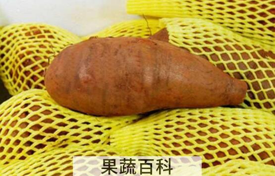 女生吃雪莲果的坏处 吃雪莲果的禁忌