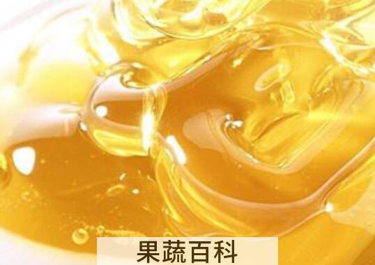 土黄连蜂蜜的作用与功效