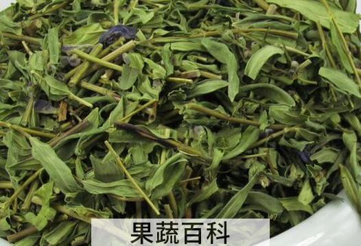 黄芩叶茶制作方法 黄芩叶茶的功效