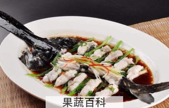 鸭嘴鱼怎么做好吃 鸭嘴鱼的吃法禁忌