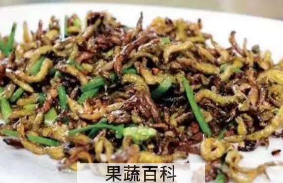 沙蚕能吃吗 沙蚕怎么吃