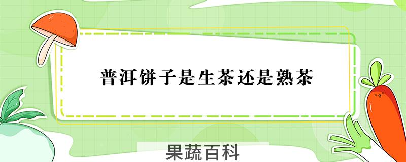 普洱饼子是生茶还是熟茶