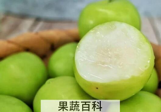 牛奶枣的功效与作用