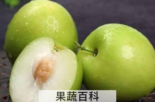 牛奶枣的功效与作用