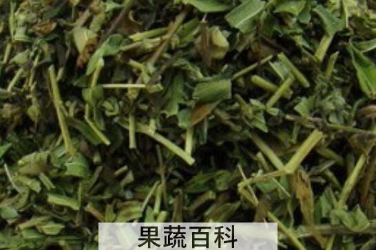 黄芩茶泡水喝有什么功效与作用