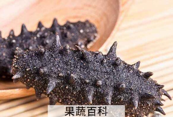 即食海参和干海参的区别