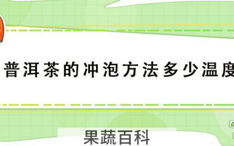 普洱茶的冲泡方法多少温度