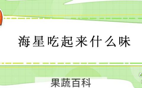 海星吃起来什么味