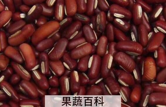 赤小豆的功效与作用 赤小豆的营养价值