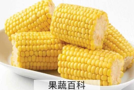 吃玉米会发胖吗 吃玉米的功效作用