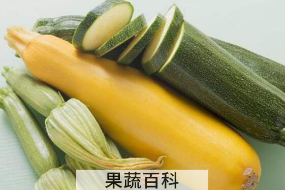 笋瓜的功效与作用 吃笋瓜的危害