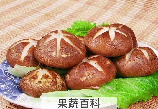 吃香菇的好处和坏处 香菇吃多了有什么危害