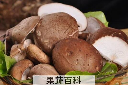 吃香菇的好处和坏处 香菇吃多了有什么危害