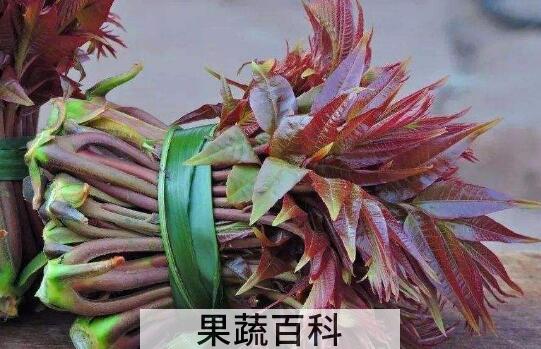  吃香椿有什么好处与作用