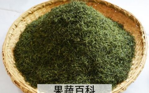 黄芪茶怎么泡 黄芪茶的正确冲泡方法