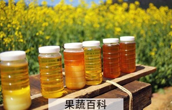 喝油菜花蜜的好处 油菜花蜜适合什么人喝