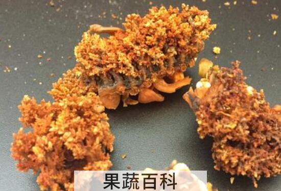 海参花的做法与吃法