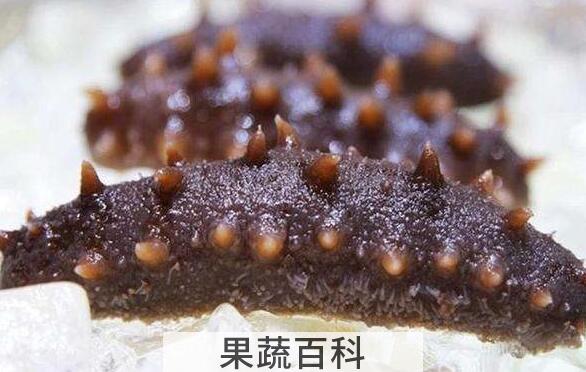 即食海参怎么处理 即食海参怎么保存