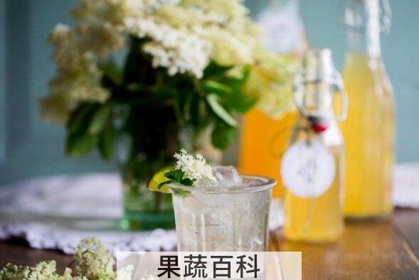 接骨木精油的功效与作用